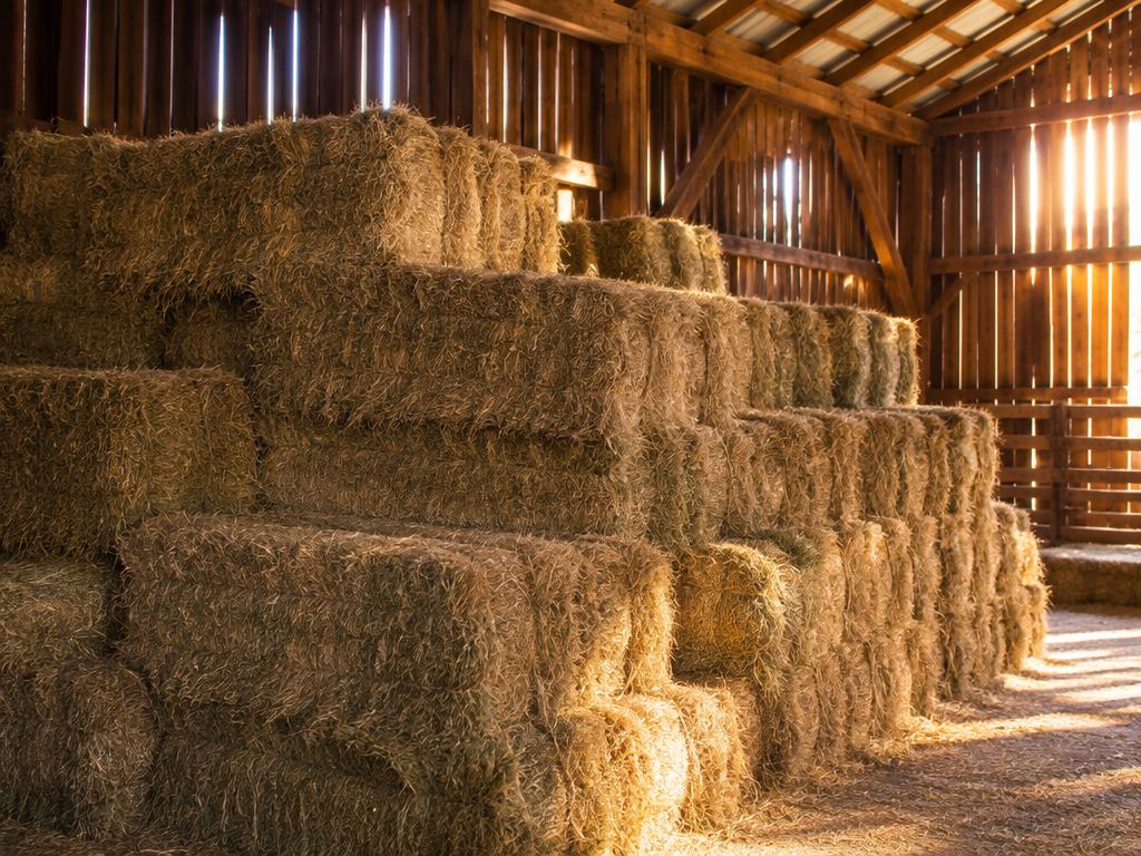 Square hay bales stacked in a wooden barn
